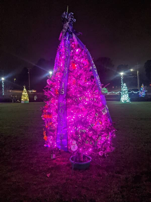Founders Park - Image 2