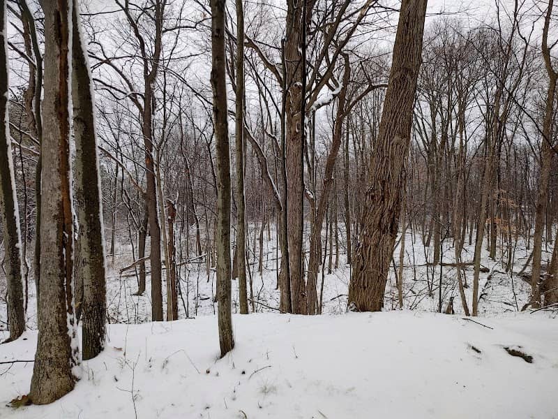 Marsh Outlook Deck - Image 1