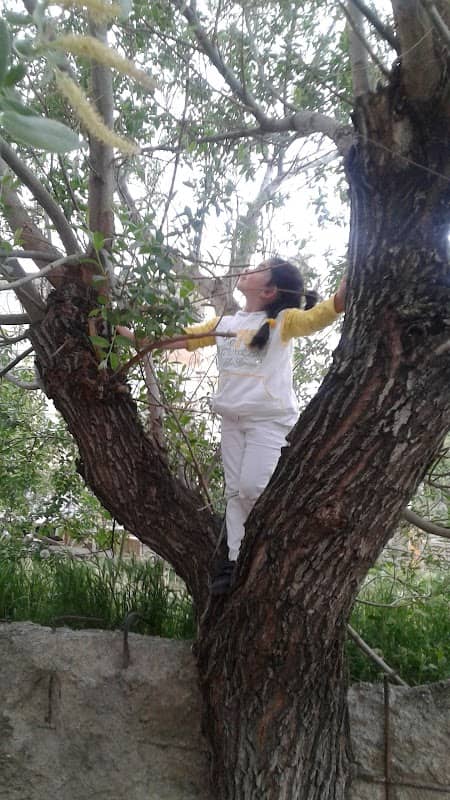 Child park - Image 1