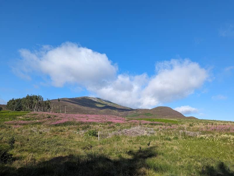 Foss Loop walk - Image 3