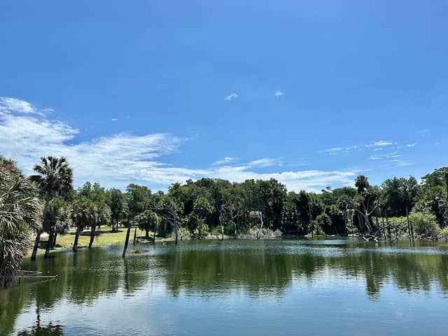 Pooser Park, Volusia County Park Picnic Area - Image 1