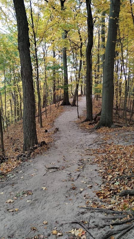 Sanctuary Woods Preserve - Image 2