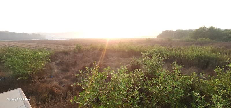 Pilerne sunset view point - Image 2