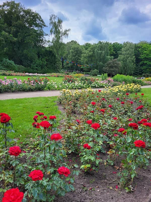 Rosengarten - Image 2