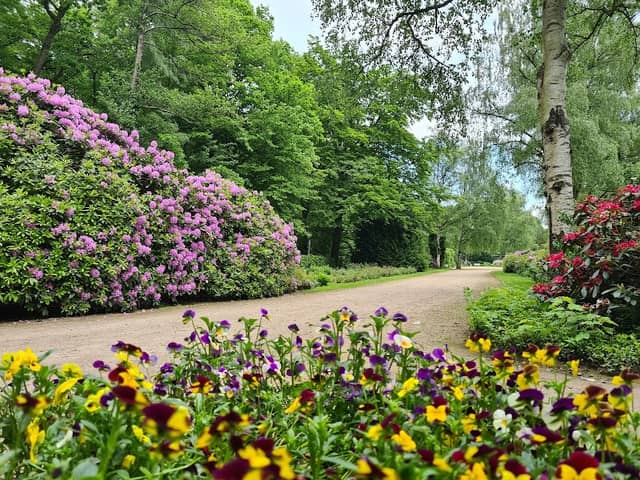 Rosengarten - Image 1