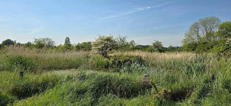 Bird Hide - Image 1