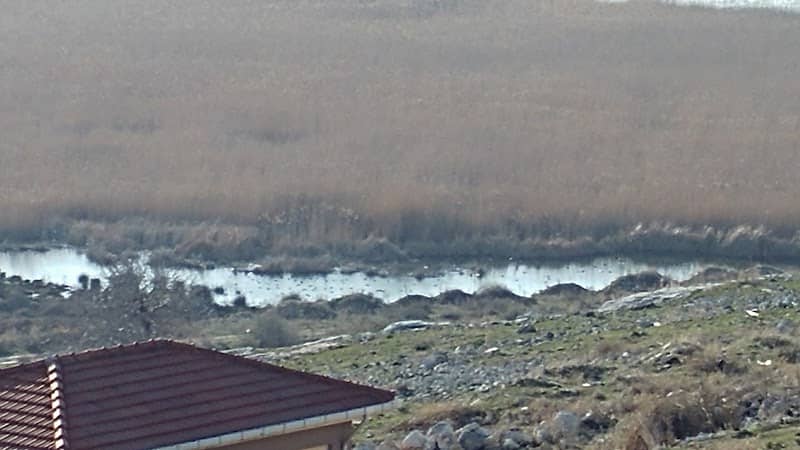 Sazlıgöz Parkı - Image 1