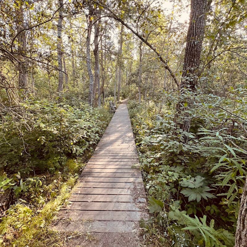 Sherwood Park Natural Area - Image 1