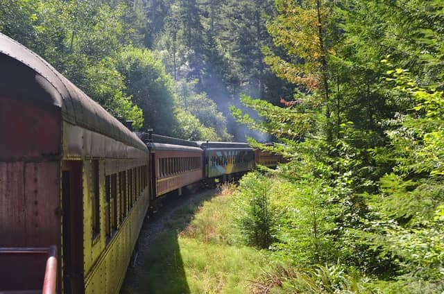 The Skunk Train - Image 2