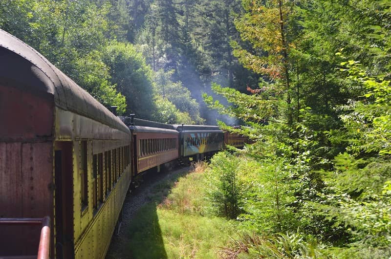 The Skunk Train - Image 2
