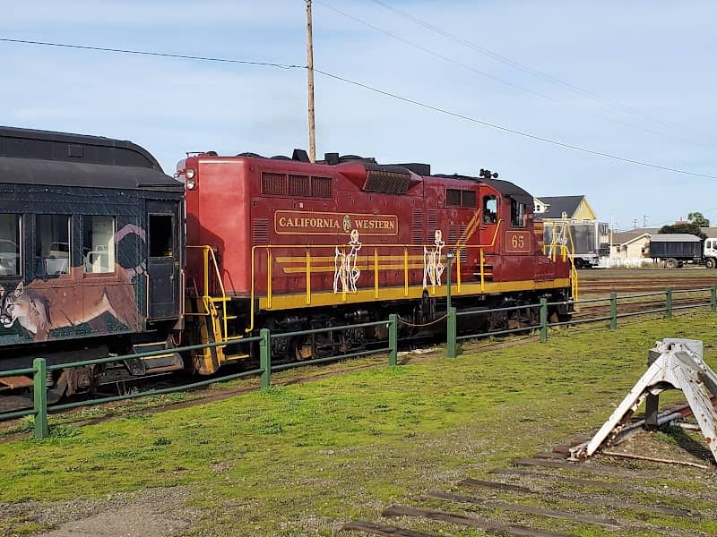 The Skunk Train - Image 3