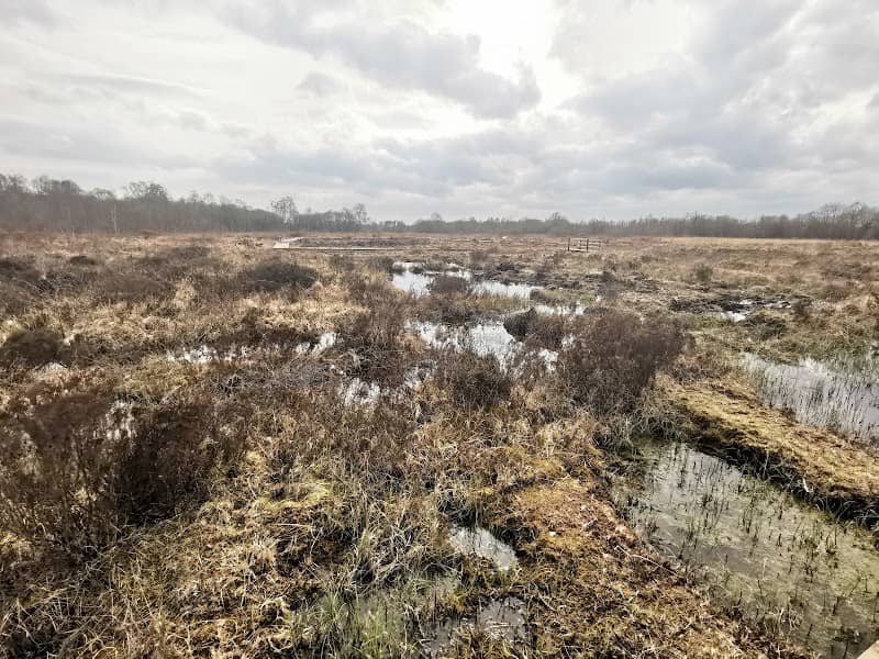 RSPB NI Montiaghs Moss Nature Reserve - Image 2