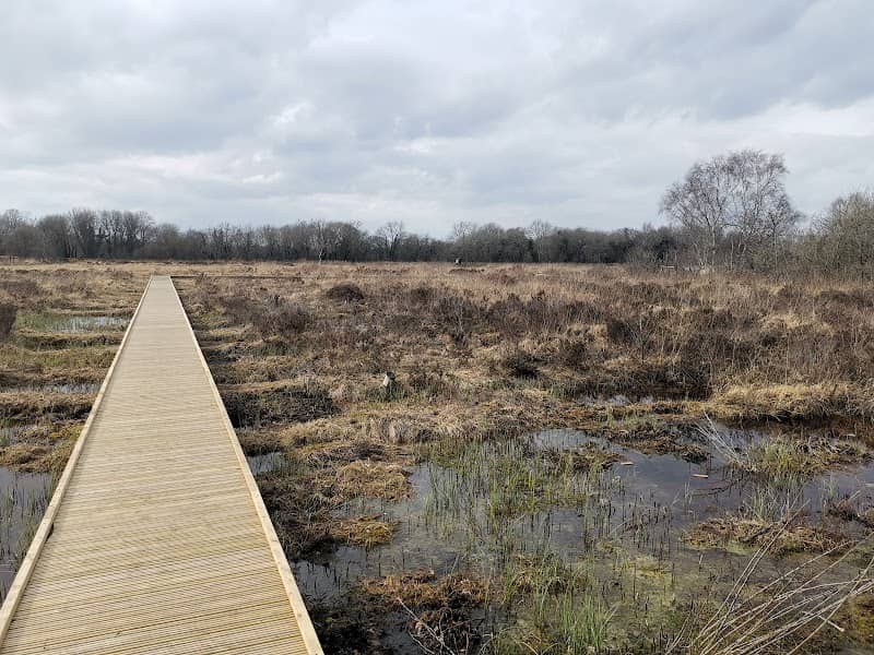 RSPB NI Montiaghs Moss Nature Reserve - Image 1