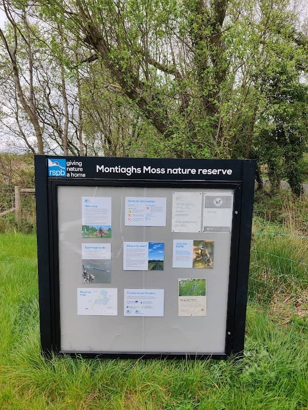 RSPB NI Montiaghs Moss Nature Reserve - Image 3