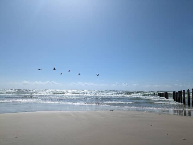 Sloth Beach - Image 1