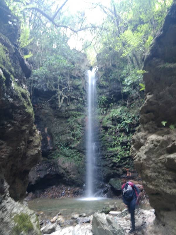 Taradevi Waterfall Zone - Image 1