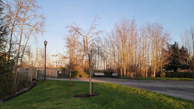 PFC Ryan J Hill Memorial Park - Image 1