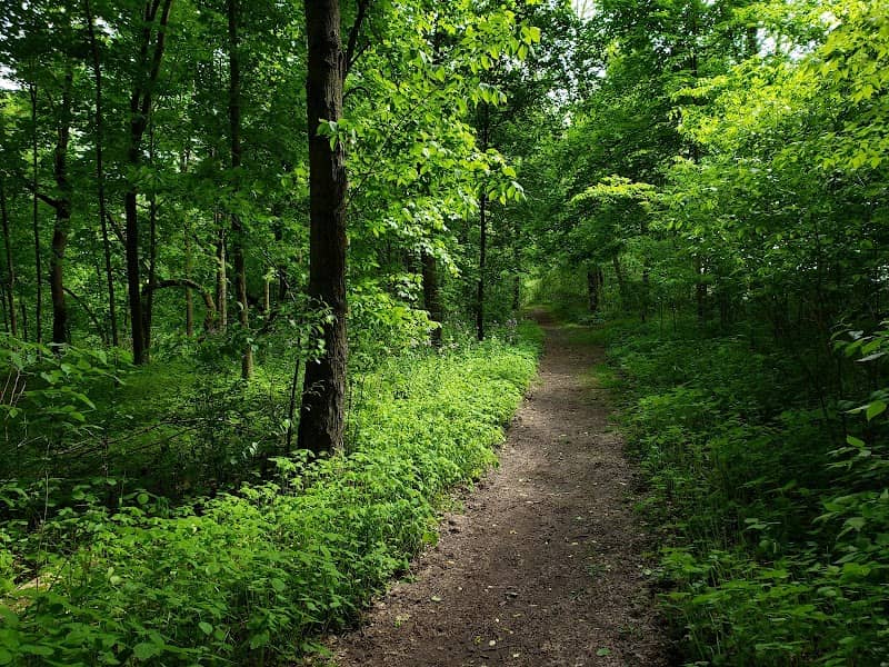 Ziegler Park - Image 1