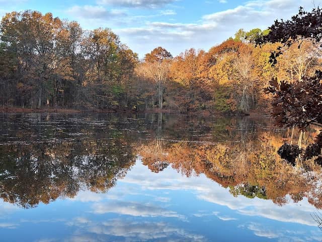 Medford-Brooks Estate Land Trust - Image 1