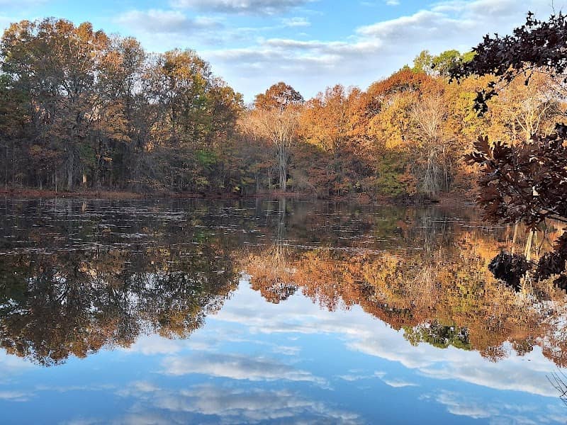Medford-Brooks Estate Land Trust - Image 1