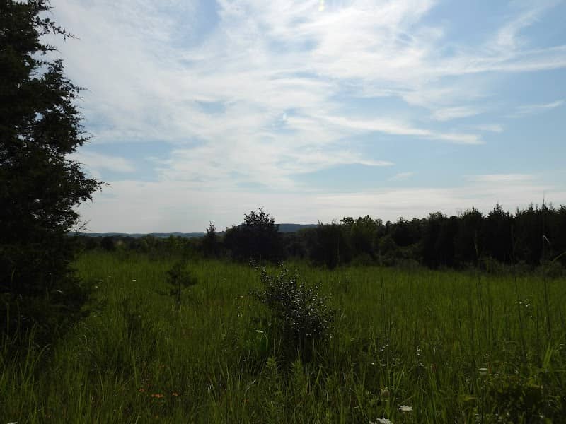 PLUM RUN TRAIL - Image 1