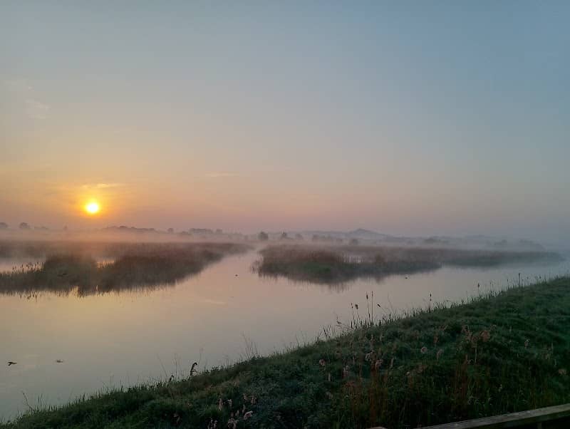 RSPB Ham Wall - Image 3