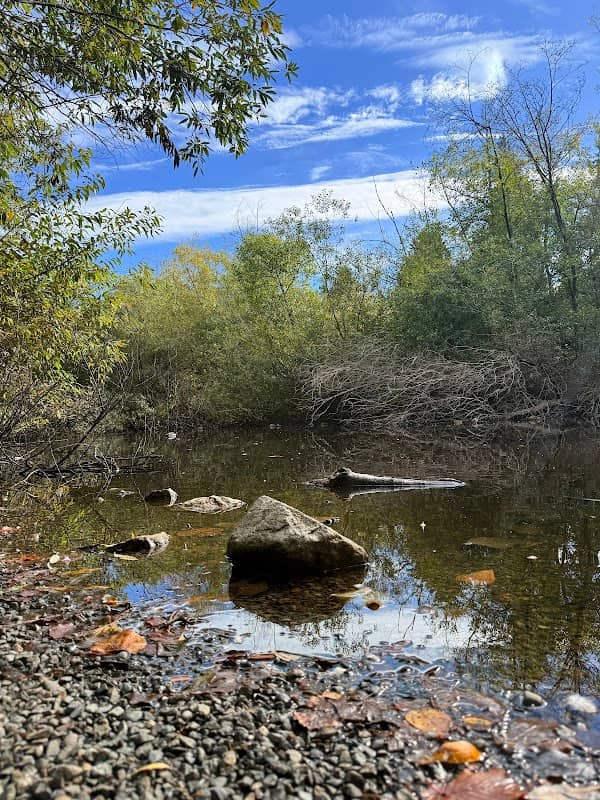 Ellis Pond Park - Image 2