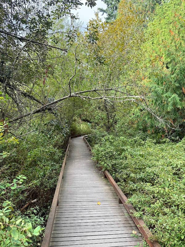 Ellis Pond Park - Image 1