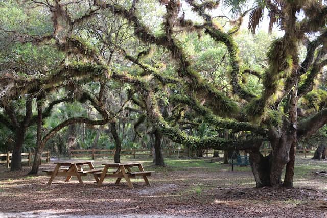 Oaks Park - Image 1