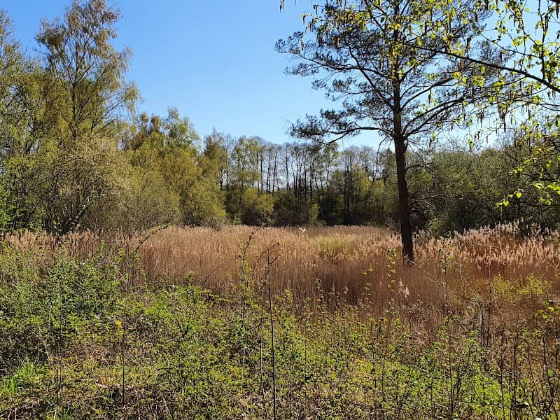 Dry Sandford Pit Nature Reserve - Image 1