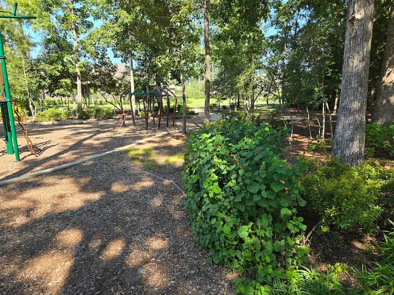 Sue Luce's Daisy Park - Image 2