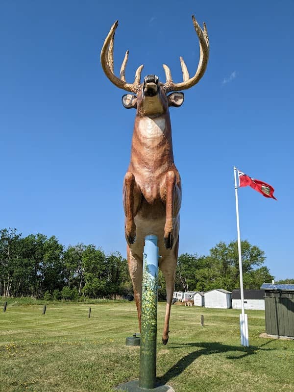 Poplarfield King Buck - Image 1
