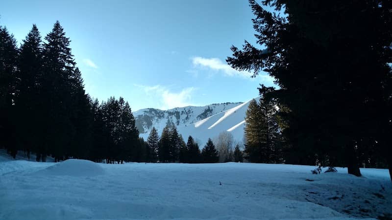 Warm Springs Preserve - Image 3