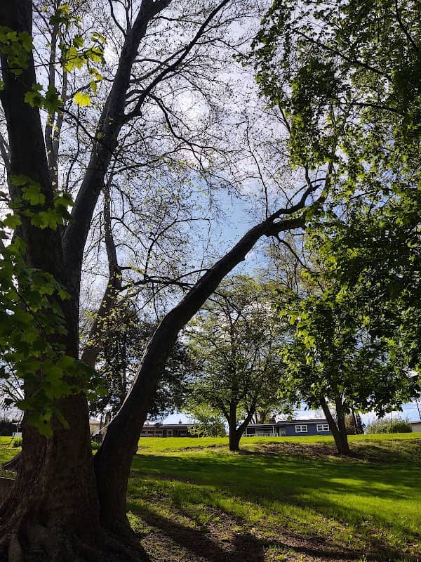 Aldrich Park - Image 1