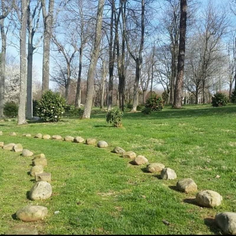 Harvey's Garden - Image 1
