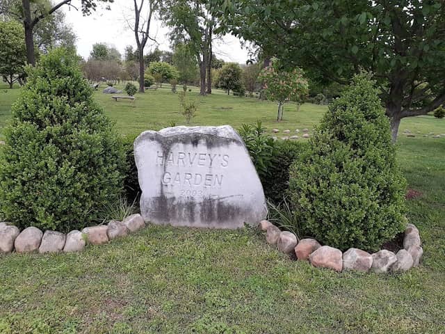 Harvey's Garden - Image 2