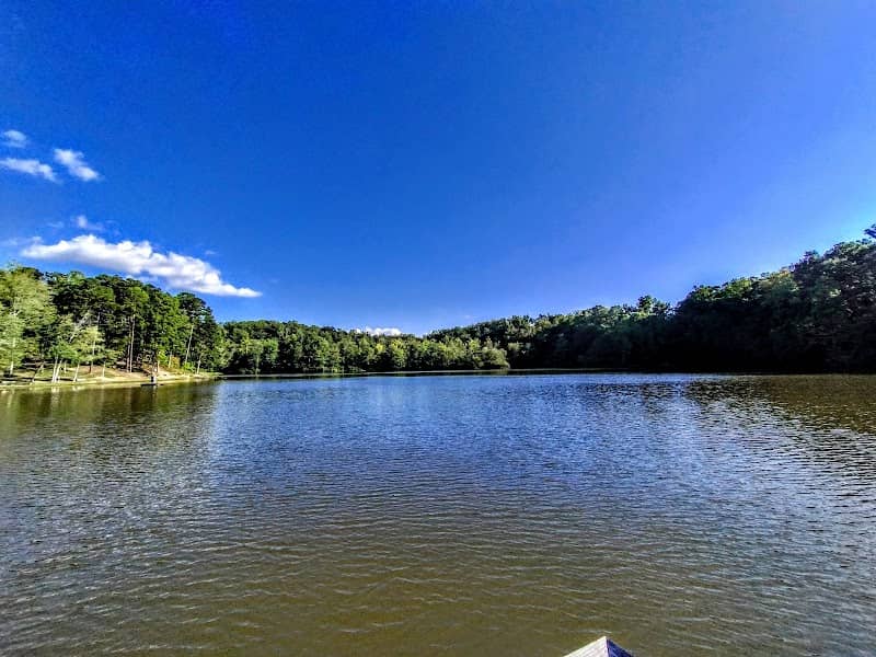 Winston Lake Park - Image 2