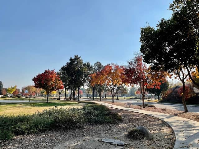 Woodland Park - Image 2