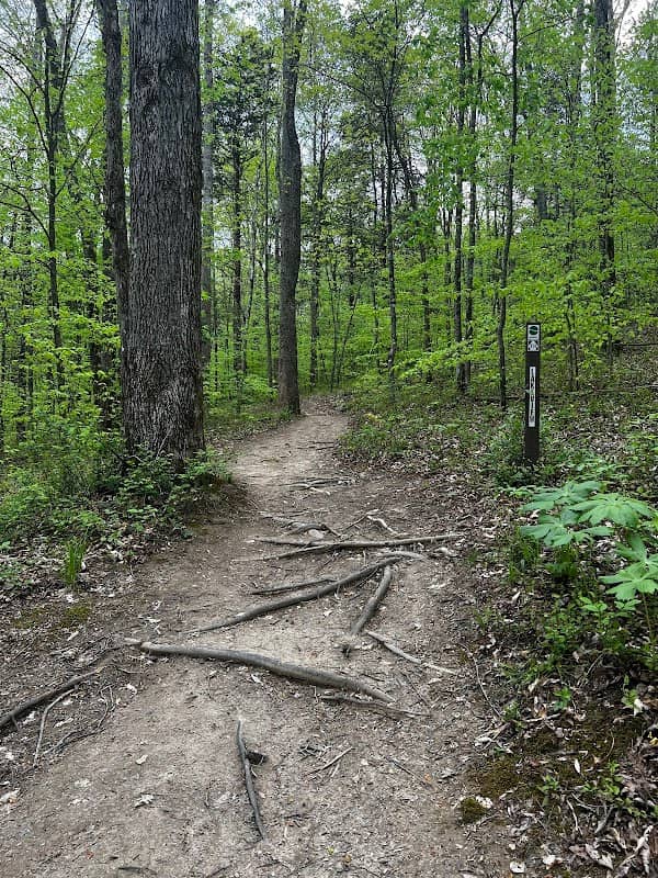 Piney Grove Trailhead - Image 1