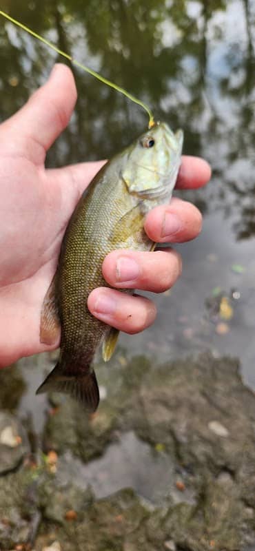 Duck Creek - Image 1