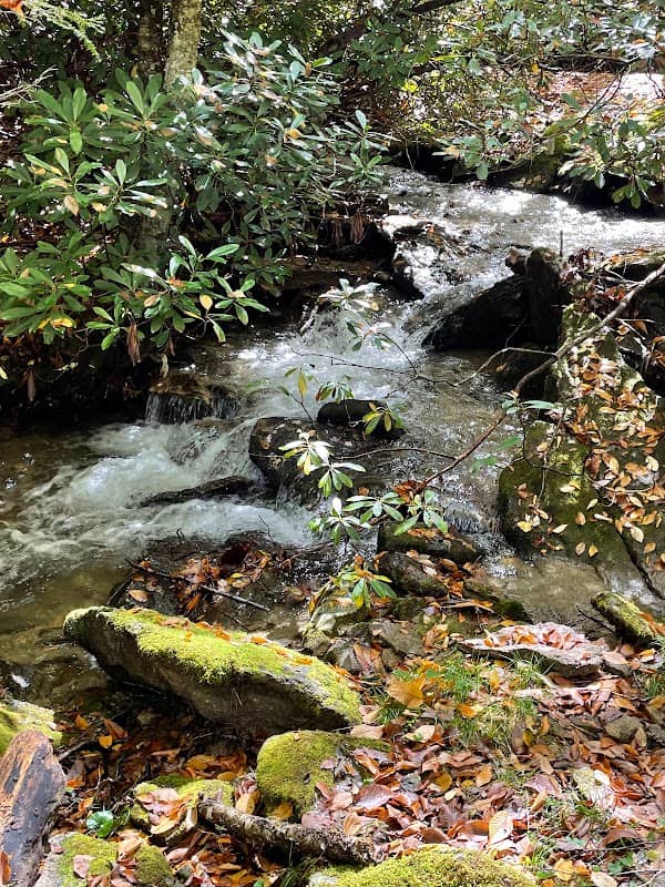 Cedar Falls - Image 2