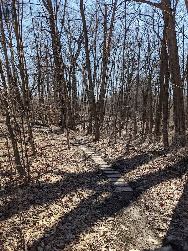 Chikaming Township Park & Preserve - Image 2