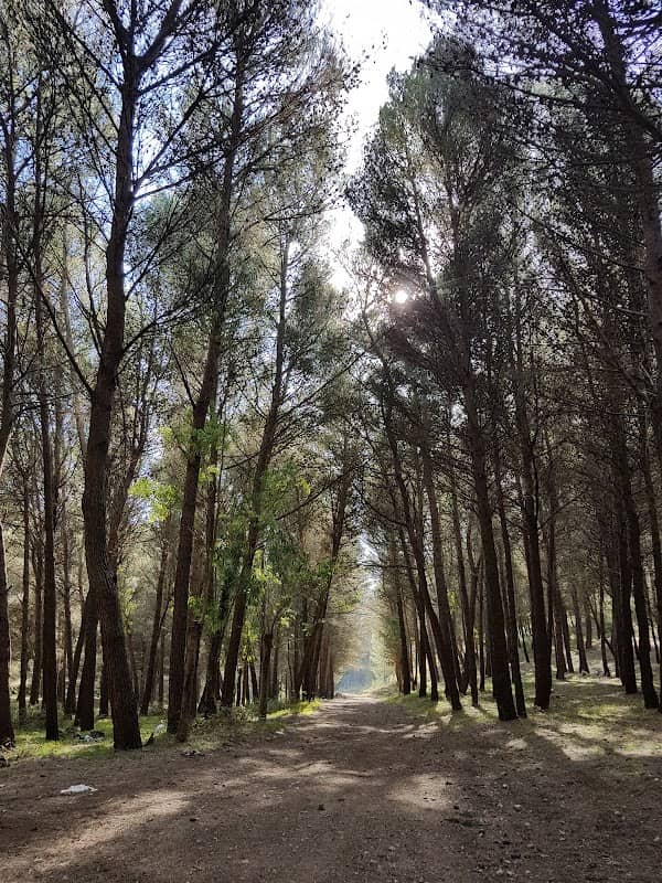 Montagna Longa - Bosco di Santa Venera - Image 1