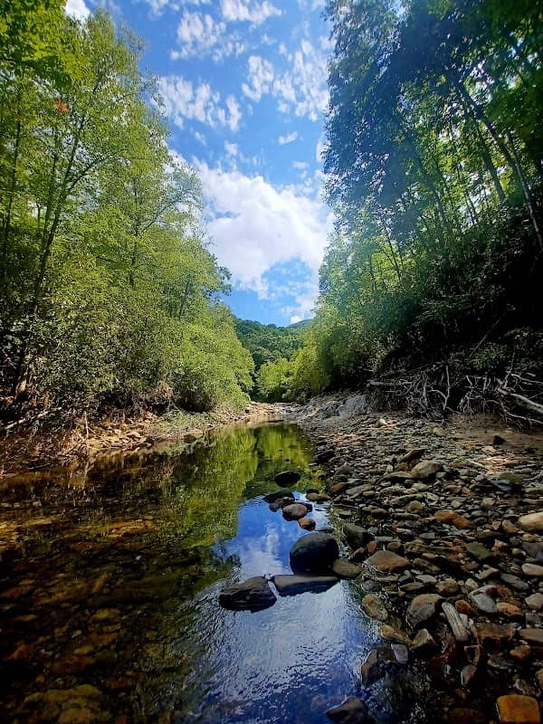 Big East Fork Pisgah - Image 2
