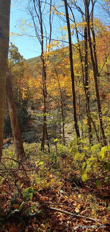 Big East Fork Pisgah - Image 3