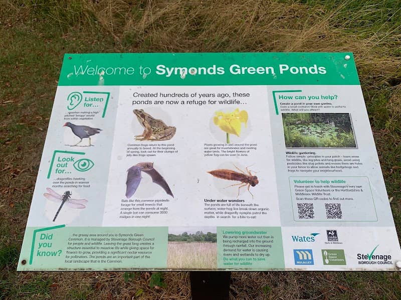 Symonds Green Pond - Image 2