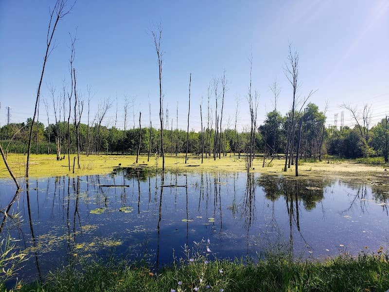 Orland Park Nature Center - Image 2