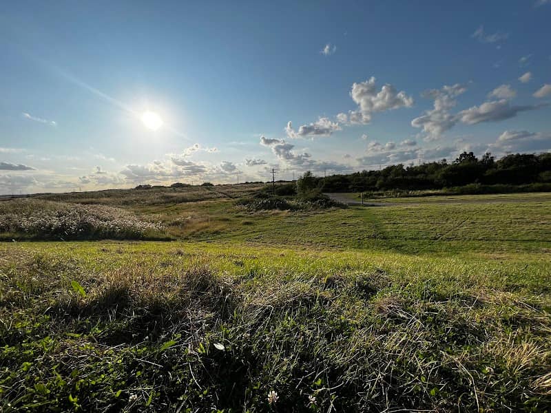 Mucking Flats and Marshes - Image 2