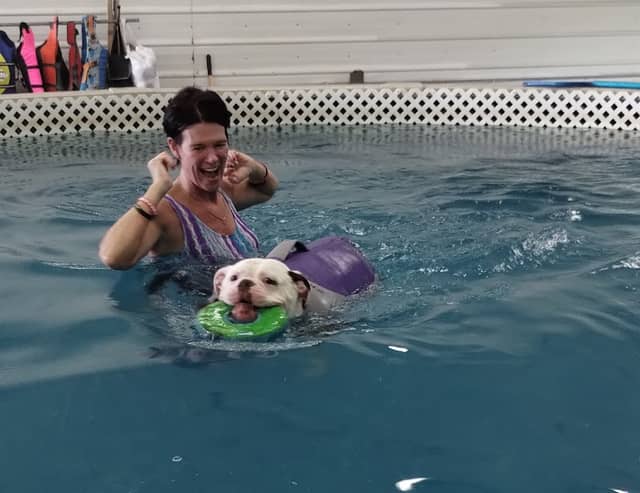 Dog Paddle Beach - Image 2