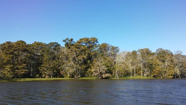 Atchafalaya National Heritage Area - Bayou Teche - Image 1